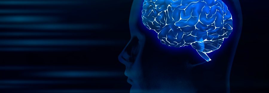 ikna-sirlari-egitimi