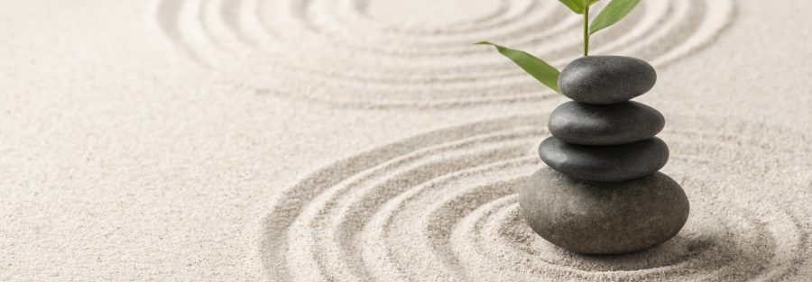 mindfulness- egitimi