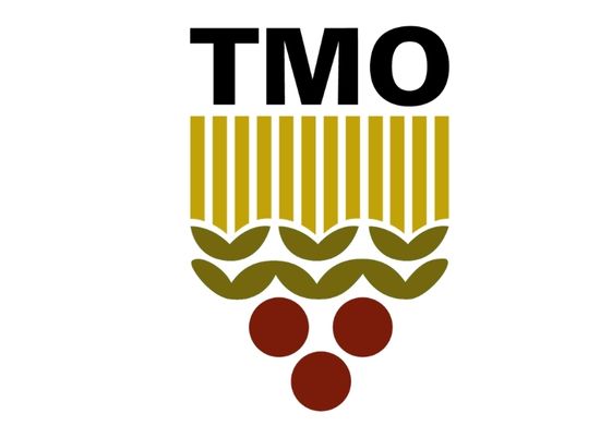 TMO LOGO