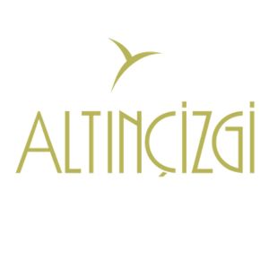 altincizgi